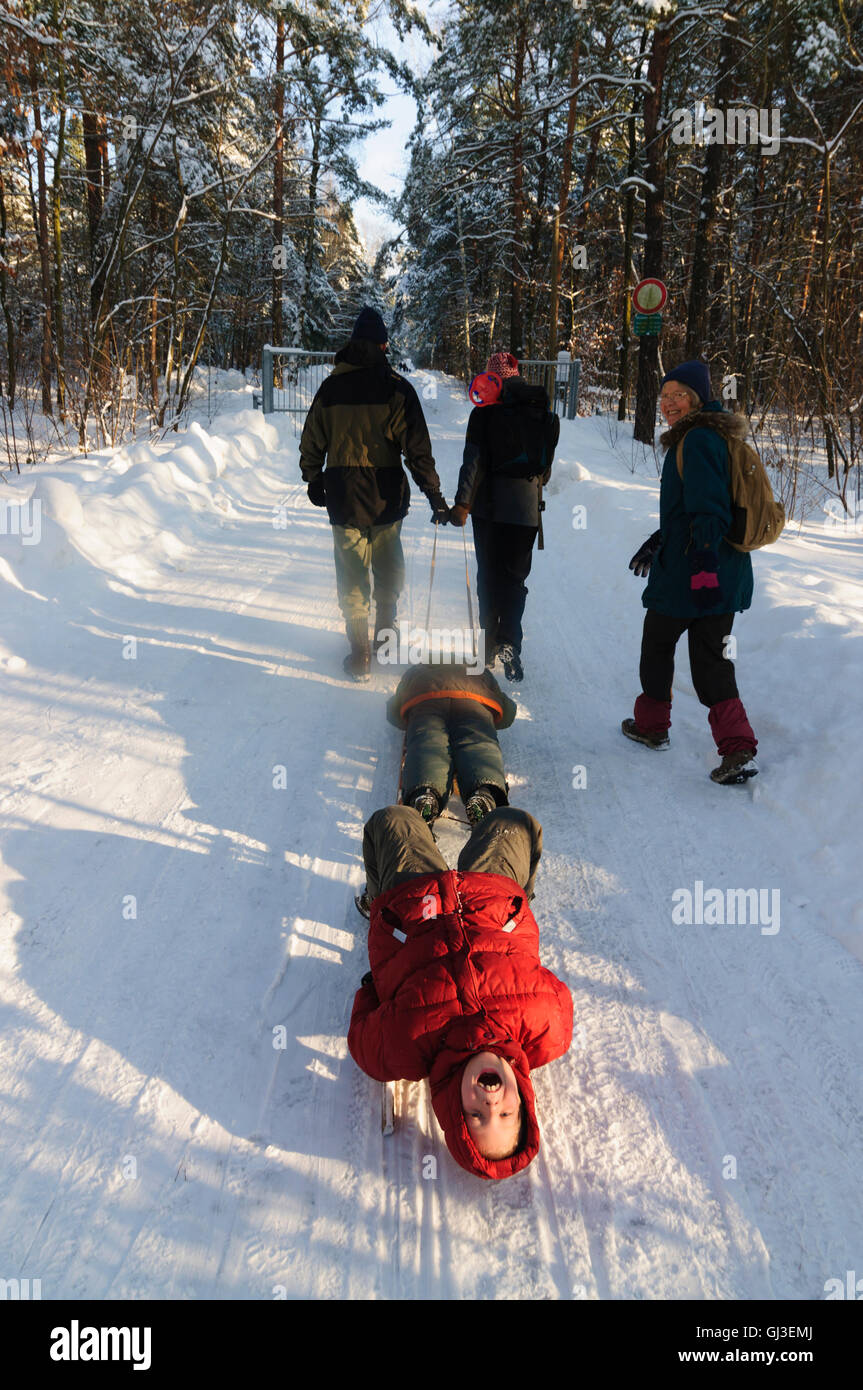 Children boys on sled, parents pull the carriage, Germany, Sachsen, Saxony, Stock Photo