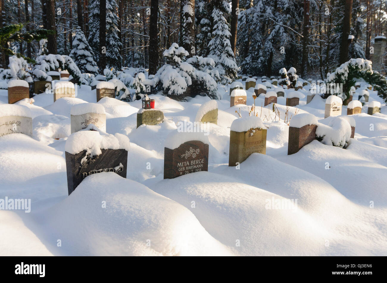 Dresden: Tombs grave stones at the cemetery deep in snow, Germany, Sachsen, Saxony, Stock Photo