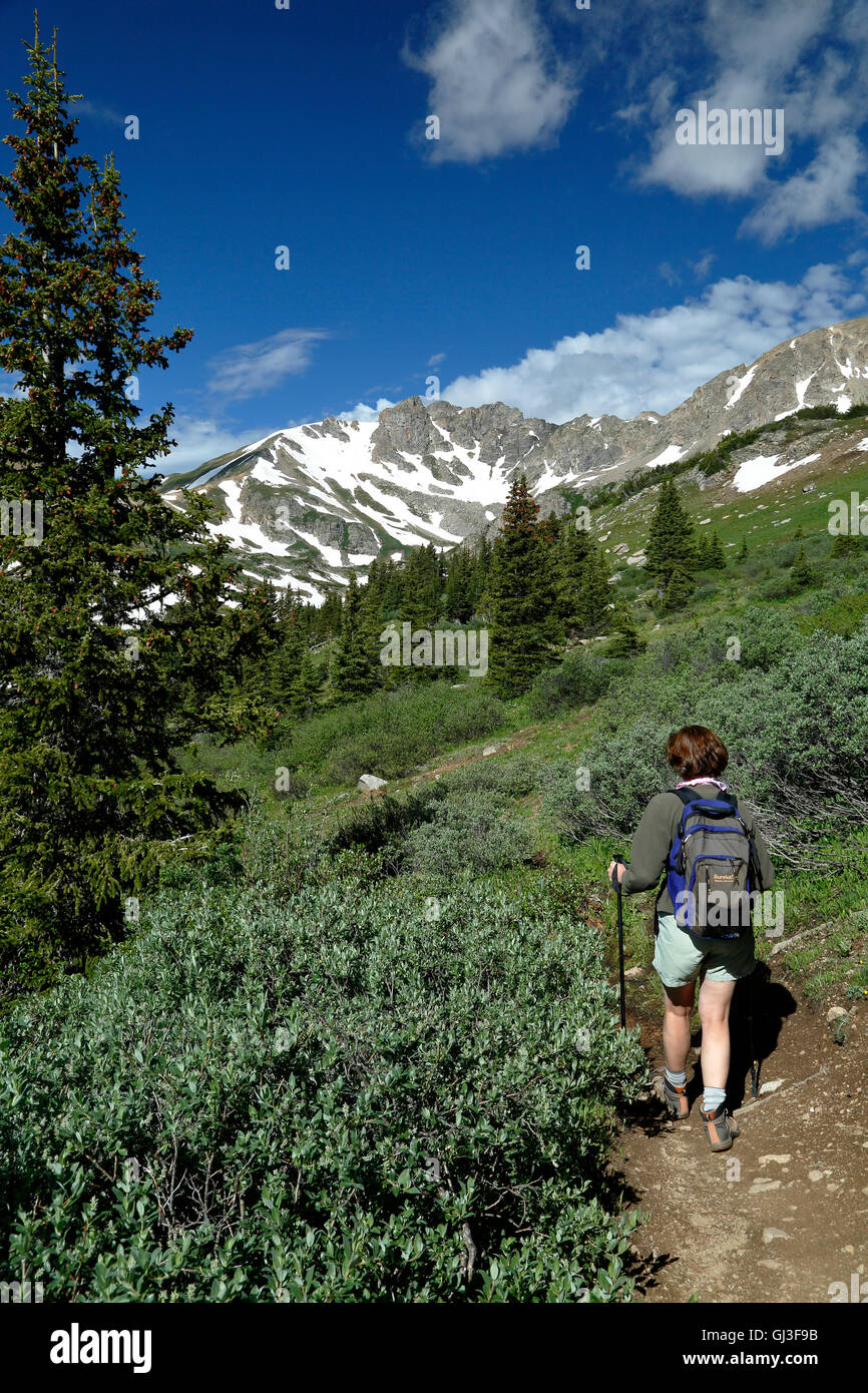 Female hiker in forest hi-res stock photography and images - Alamy