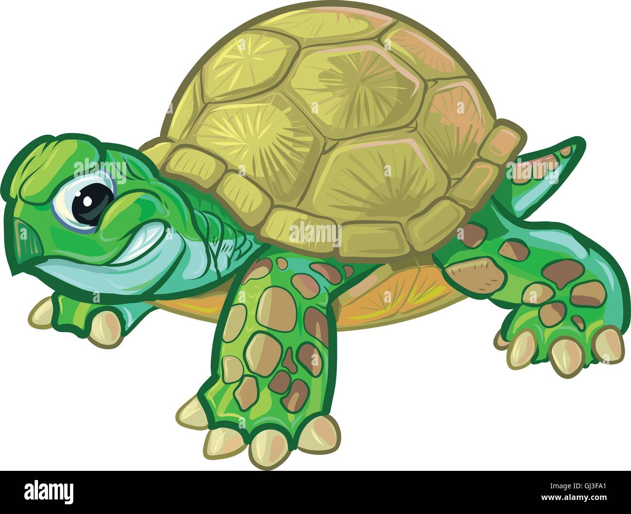 Vector cartoon clip art illustration of a cute but tough baby turtle or tortoise mascot with a feisty smirk or smile. Stock Vector