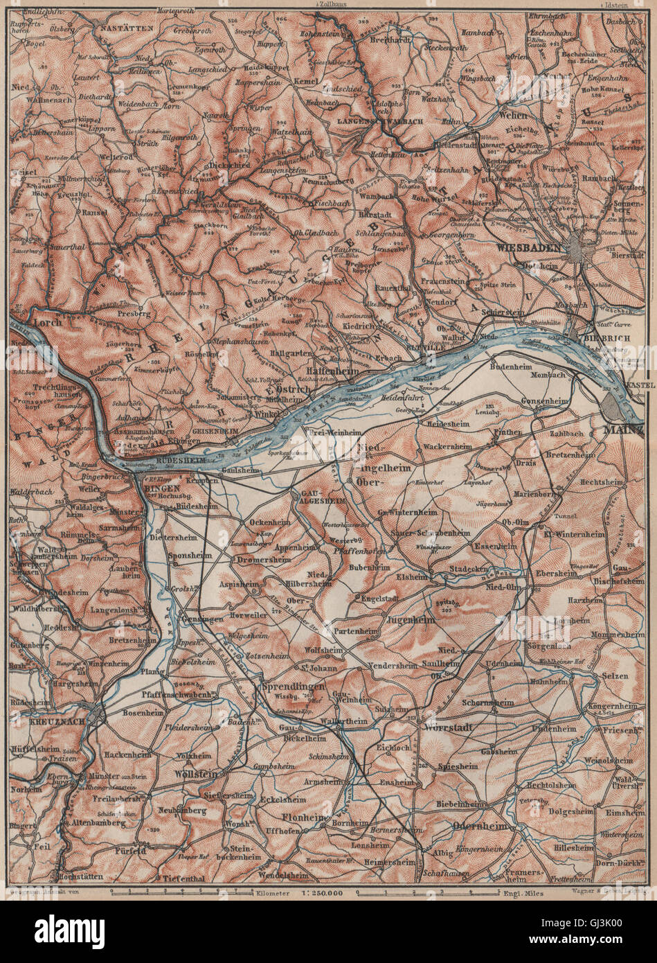 THE RHEINGAU topomap. Wiesbaden Lorch Rüdesheim Mainz. Germany karte