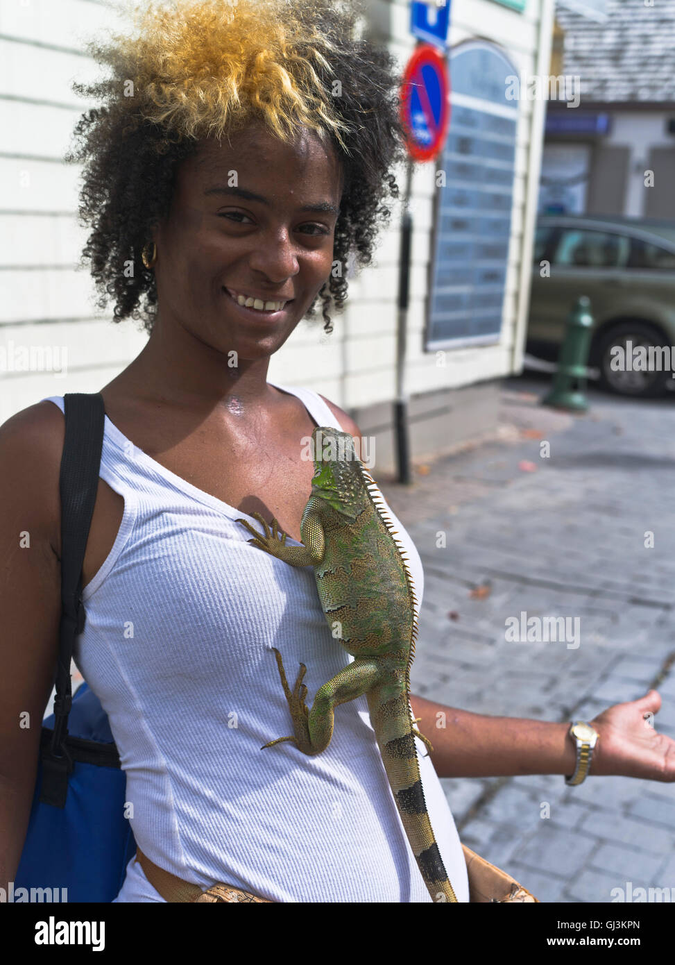 dh Philipsburg west indies ST MAARTEN CARIBBEAN Girl with iguana pet lizard hanging on people unusual pets Stock Photo