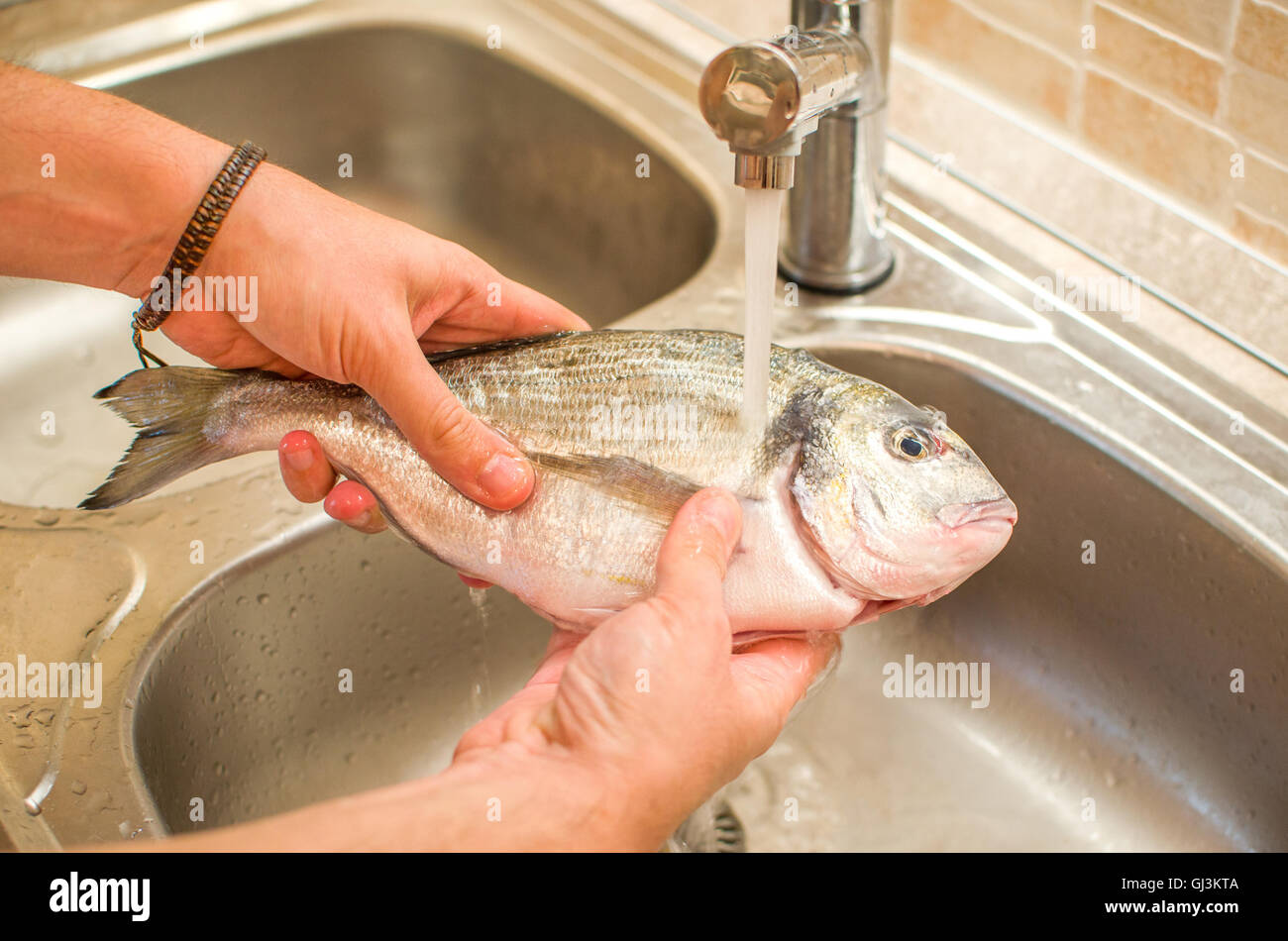 hands washing raw gilthead fish food in kitchen sink flowing water