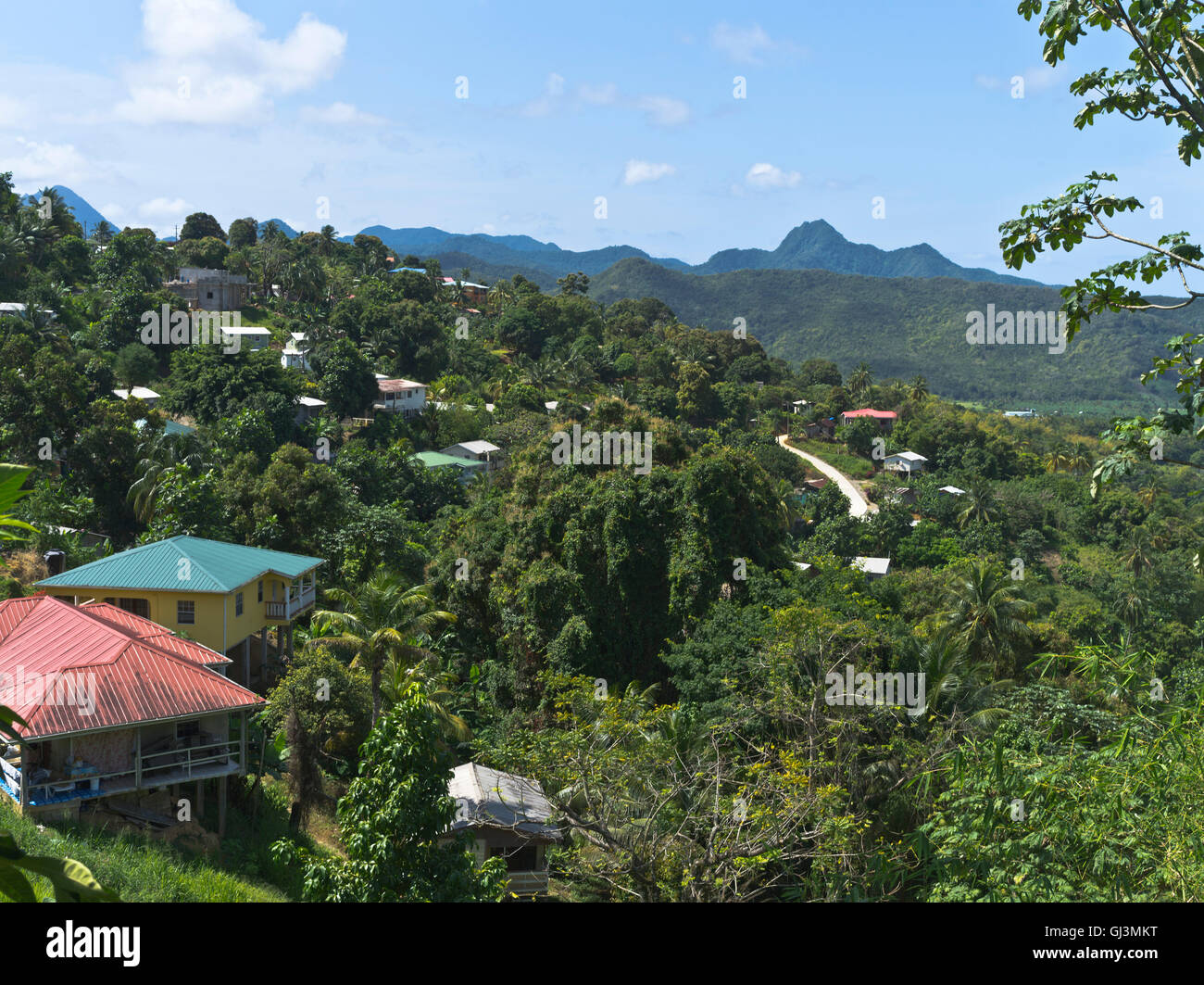 St. Lucia Rural dh Roseau Valley ST LUCIA CARIBBEAN Valley of Banana plantations ...