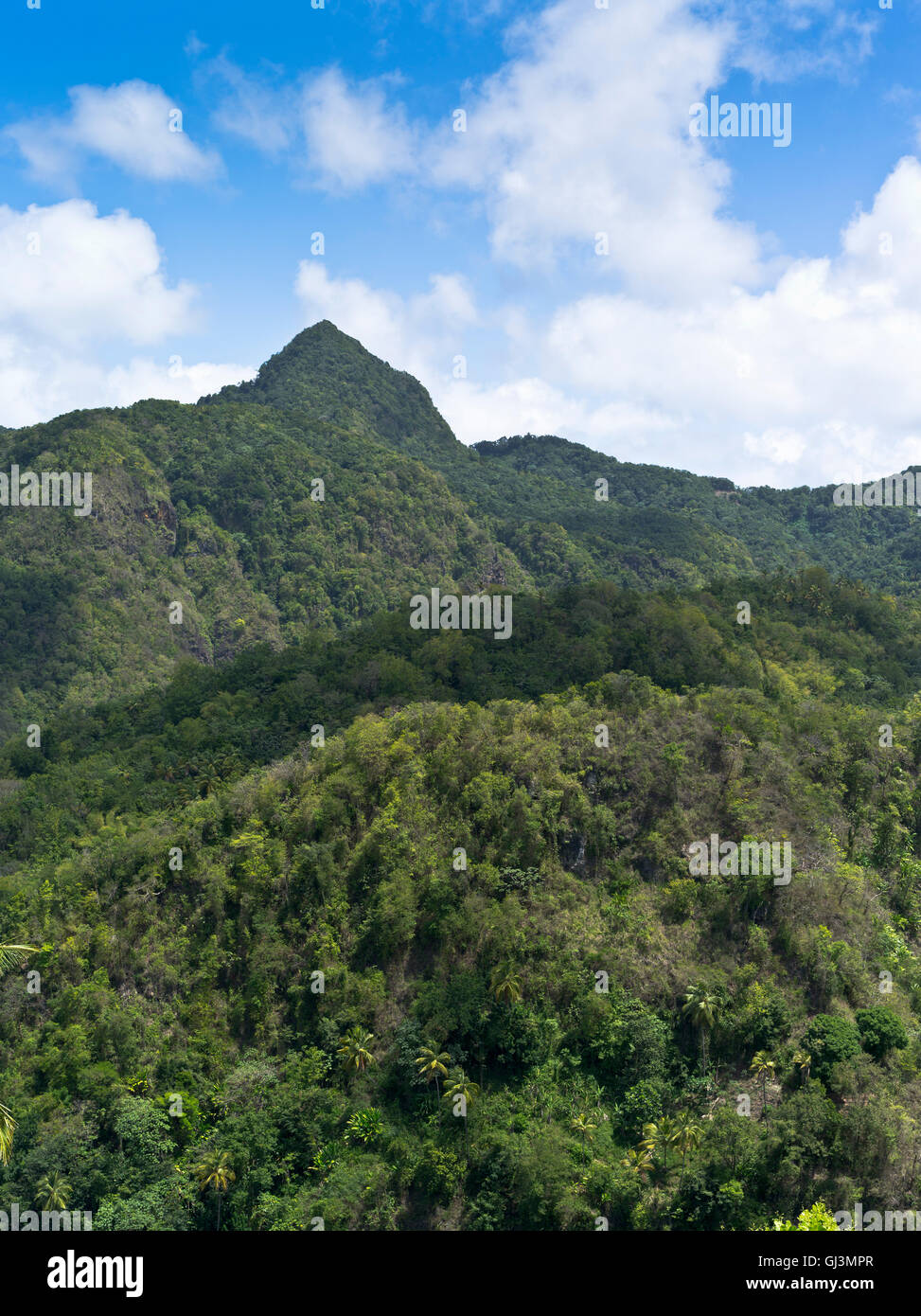 dh  ST LUCIA CARIBBEAN Caribbean rainforest trees and mountain range Stock Photo