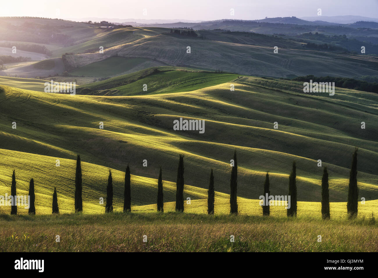 Sunny Tuscan landscape with green fields and full of color. Stock Photo