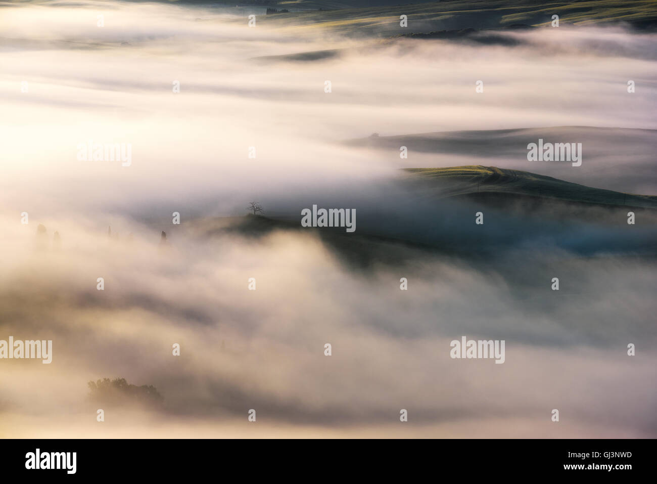 Mist nature hi-res stock photography and images - Alamy