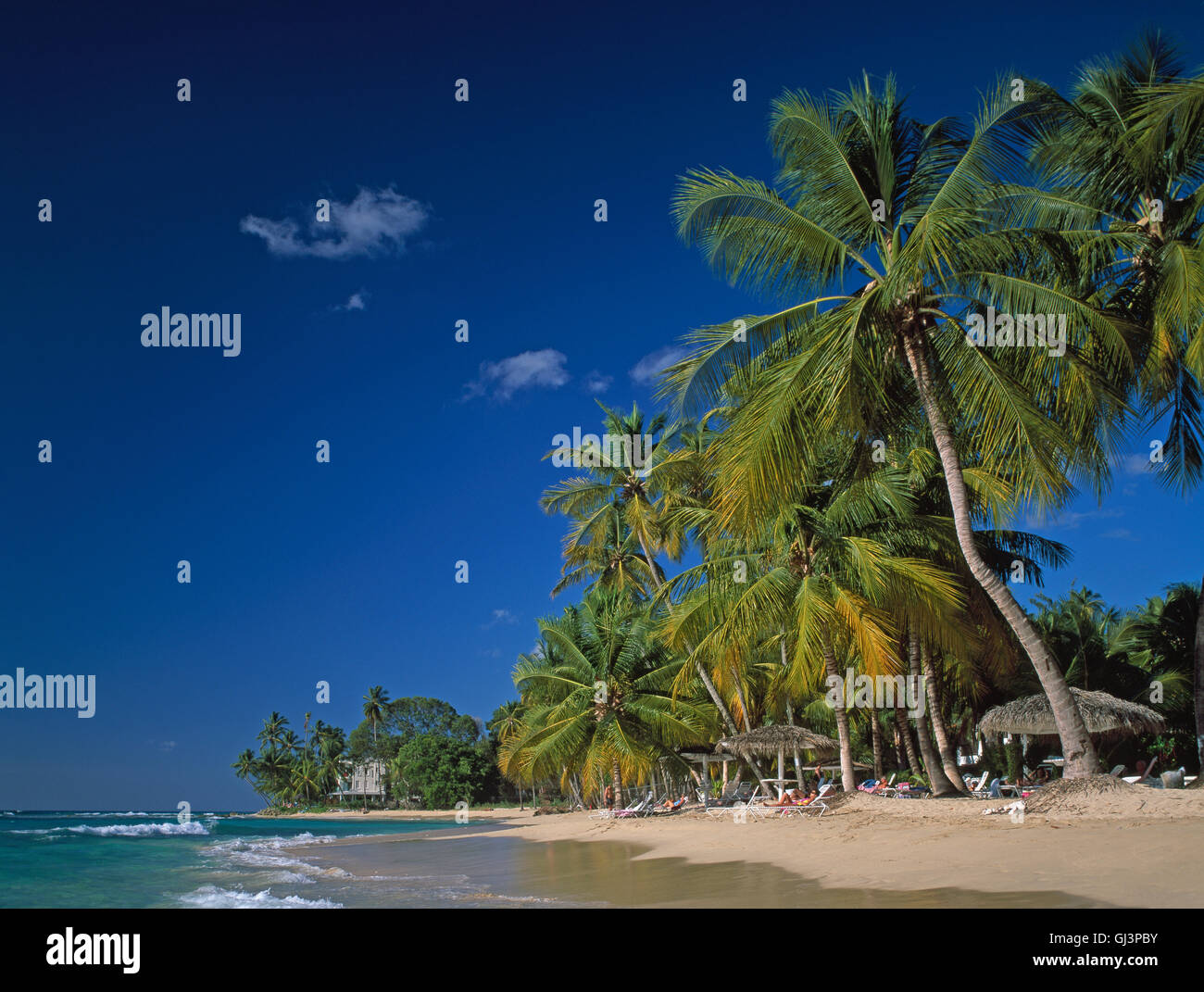 Bottom beach, Barbados, Caribbean sea, West Indies Stock Photo