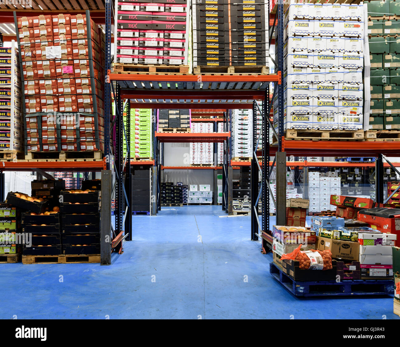 Vegetables in the fruit and veg market. New Covent Garden Market