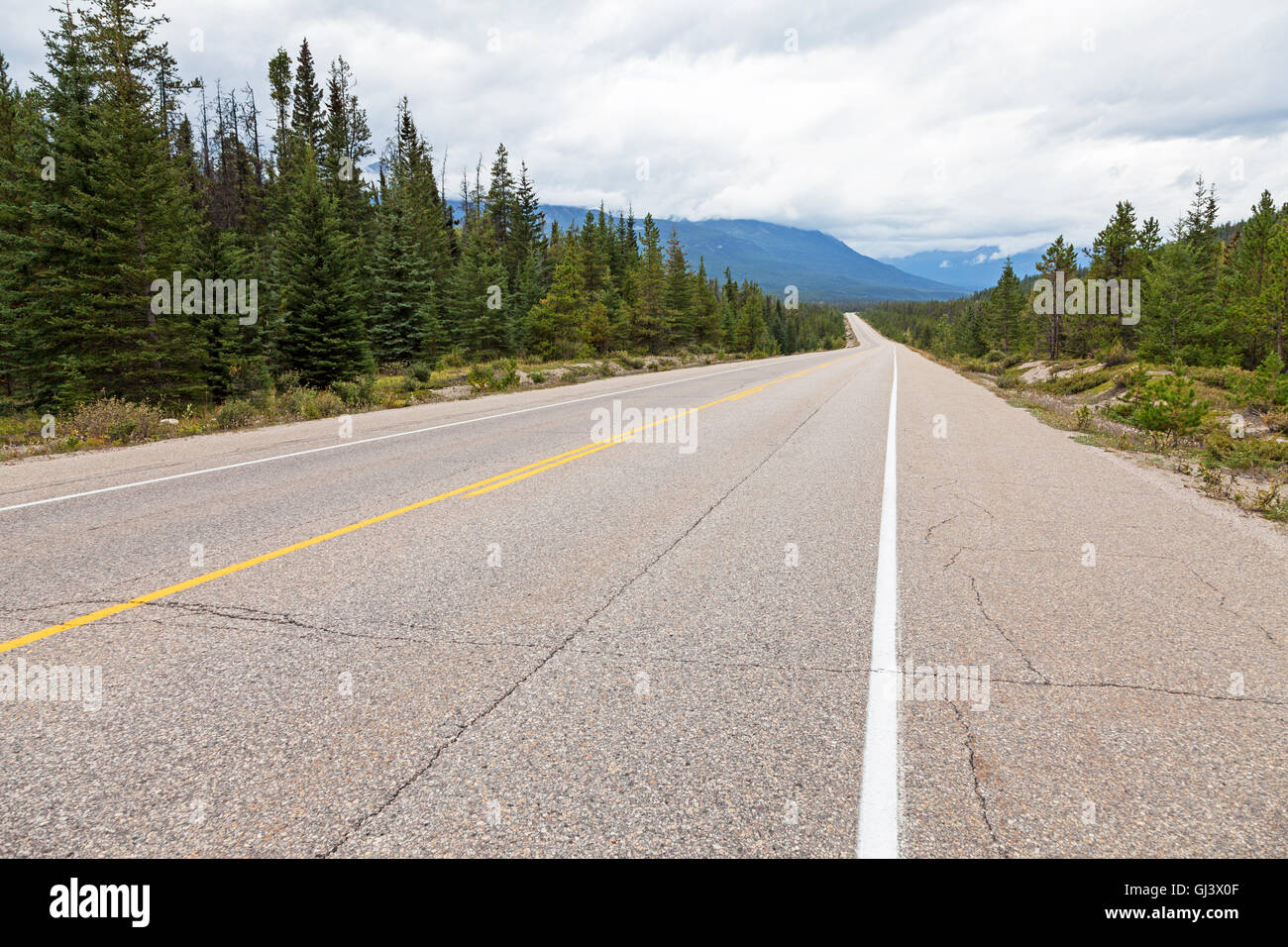 A deserted road Highway 93 also called the Icefields Parkway between Lake Louise and Jasper