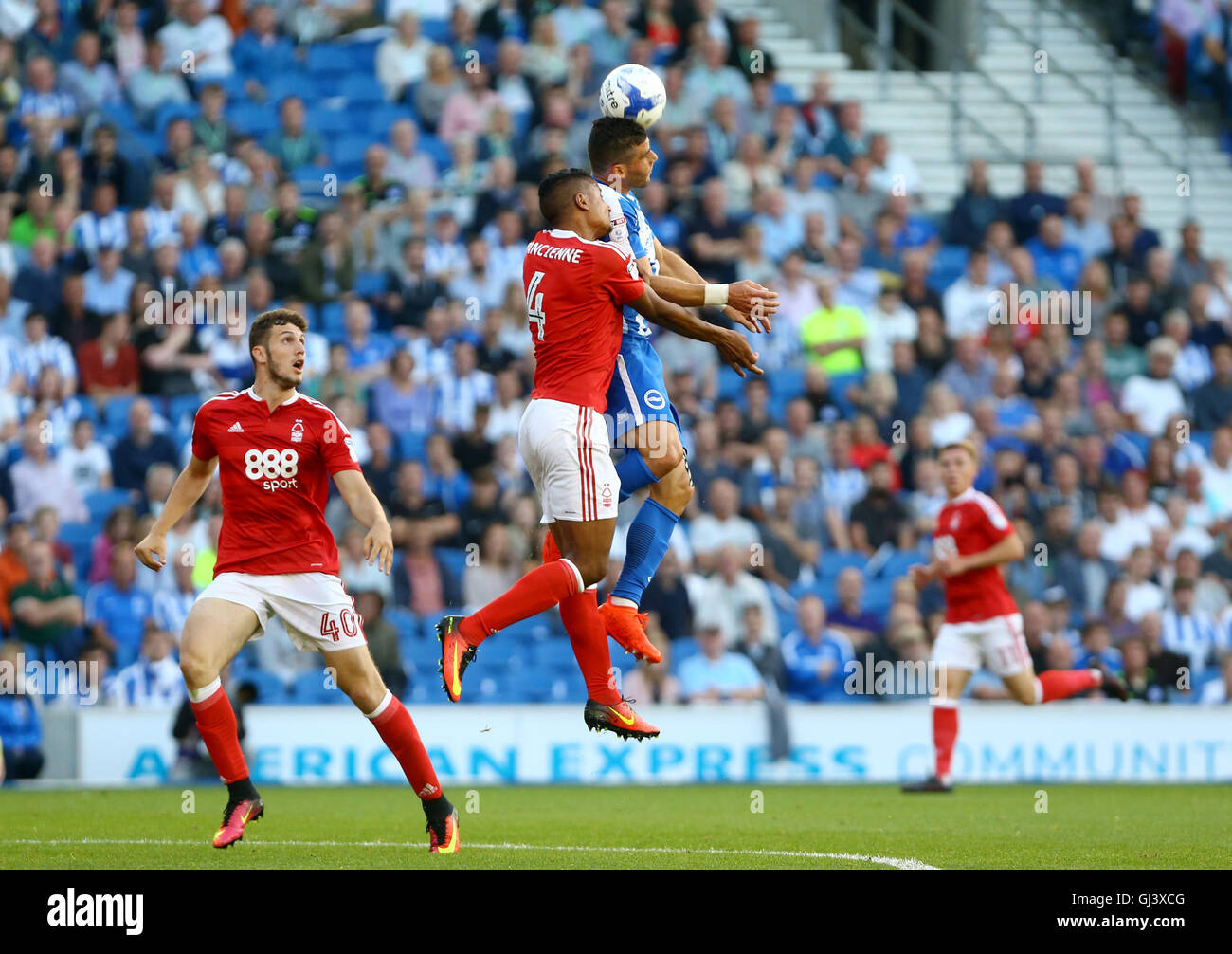 nottingham forest brighton & hove albion