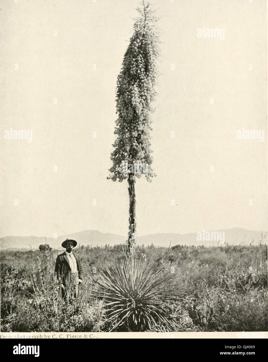 *The Mystic Mid-Region, The Deserts of the Southwest* (1904) explores ...