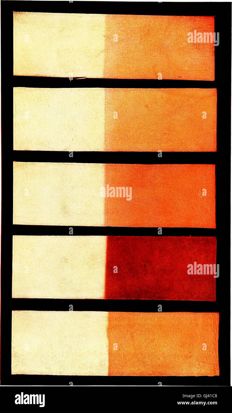 This 1905 Report By The Committee On Leather For Bookbinding Evaluates this-1905-report-by-the-committee-on-leather-for-bookbinding-evaluates