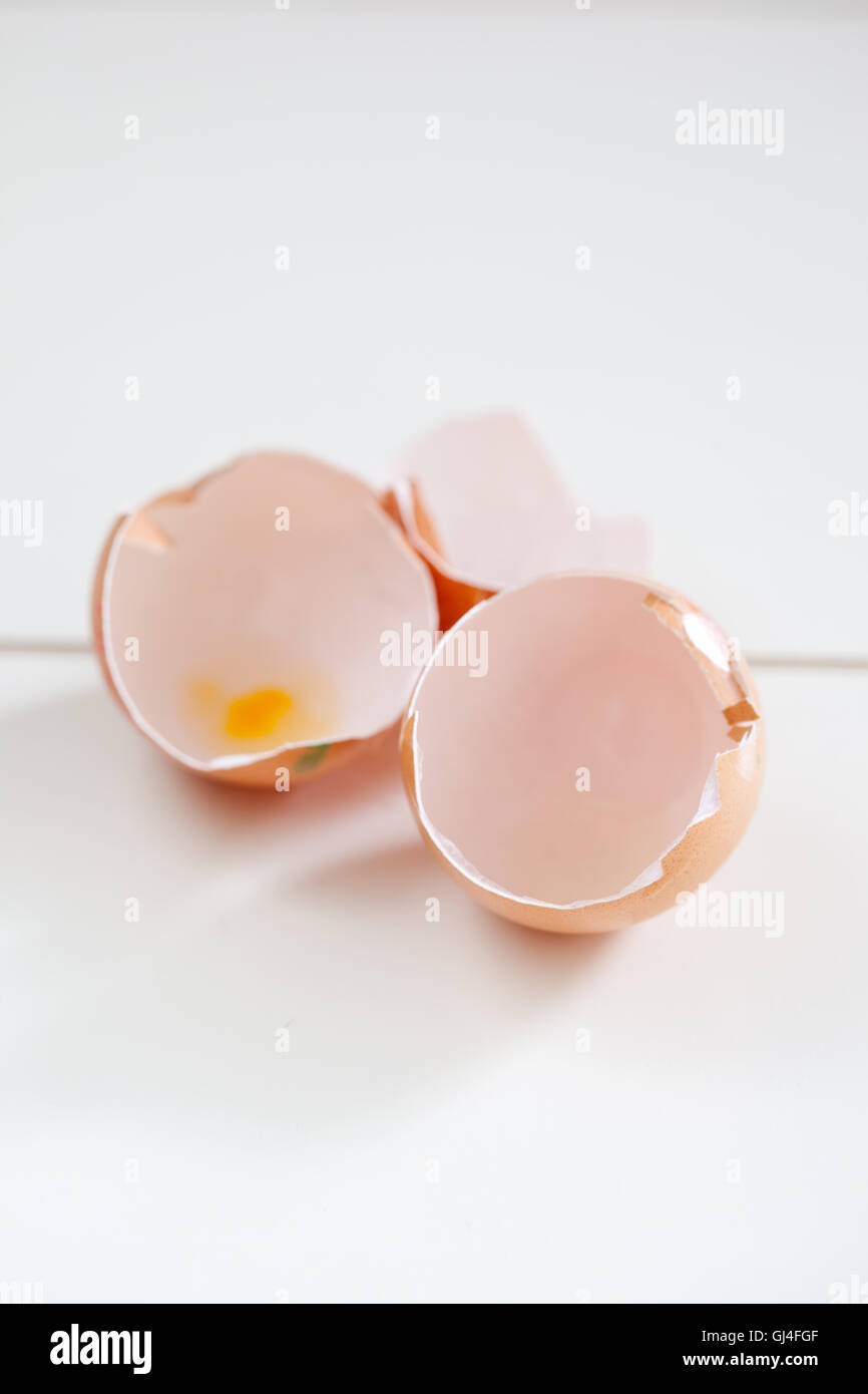 Empty egg shells Stock Photo Alamy