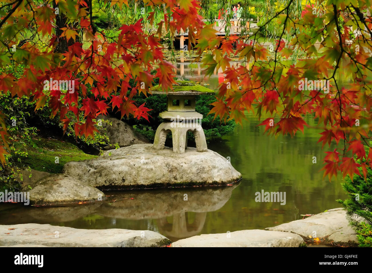 Japanese garden Stock Photo