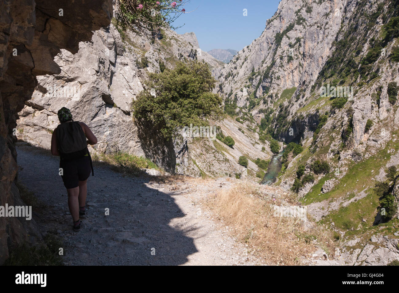 Hiking Cares Gorge in Picos de Europa,Asturias,Spain,Europe. Stock Photo