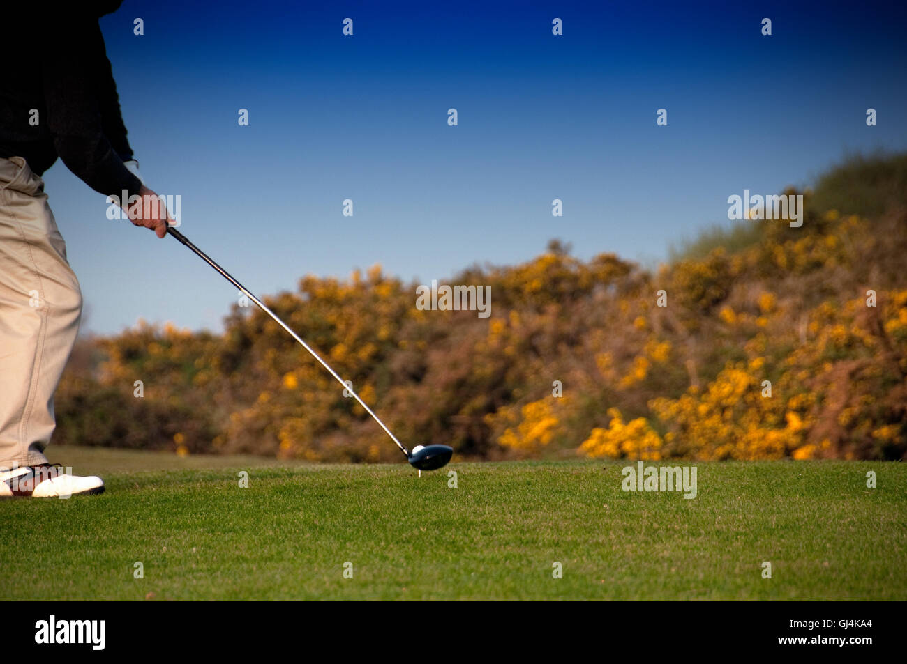 play golf Stock Photo