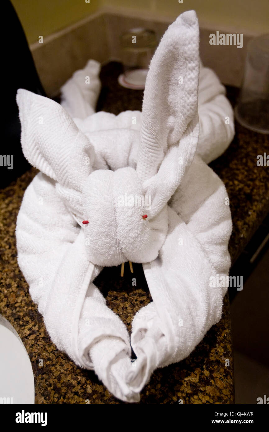 Towel folded as a bunny rabbit Stock Photo Alamy
