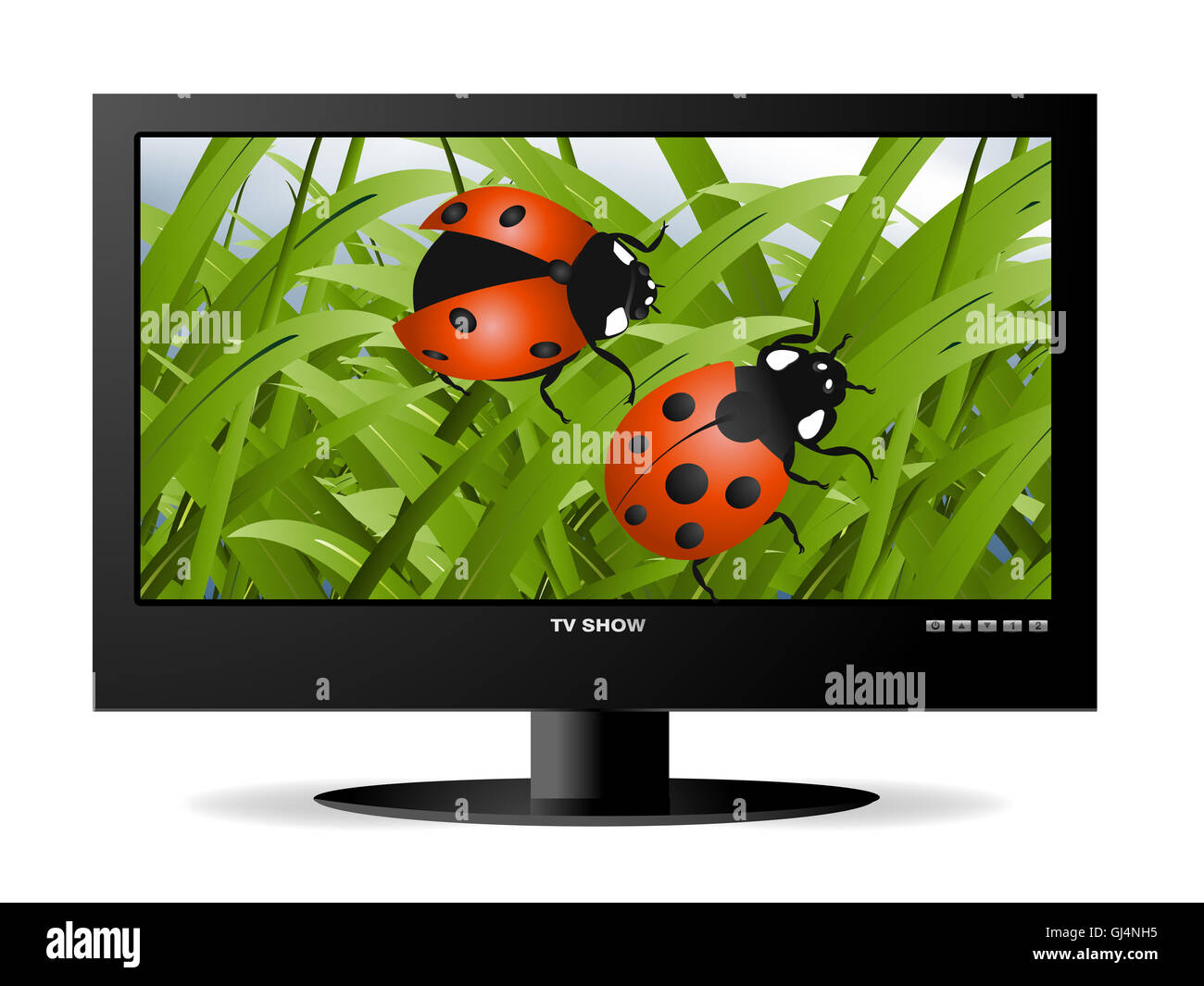 widescreen lcd monitor Stock Photo - Alamy