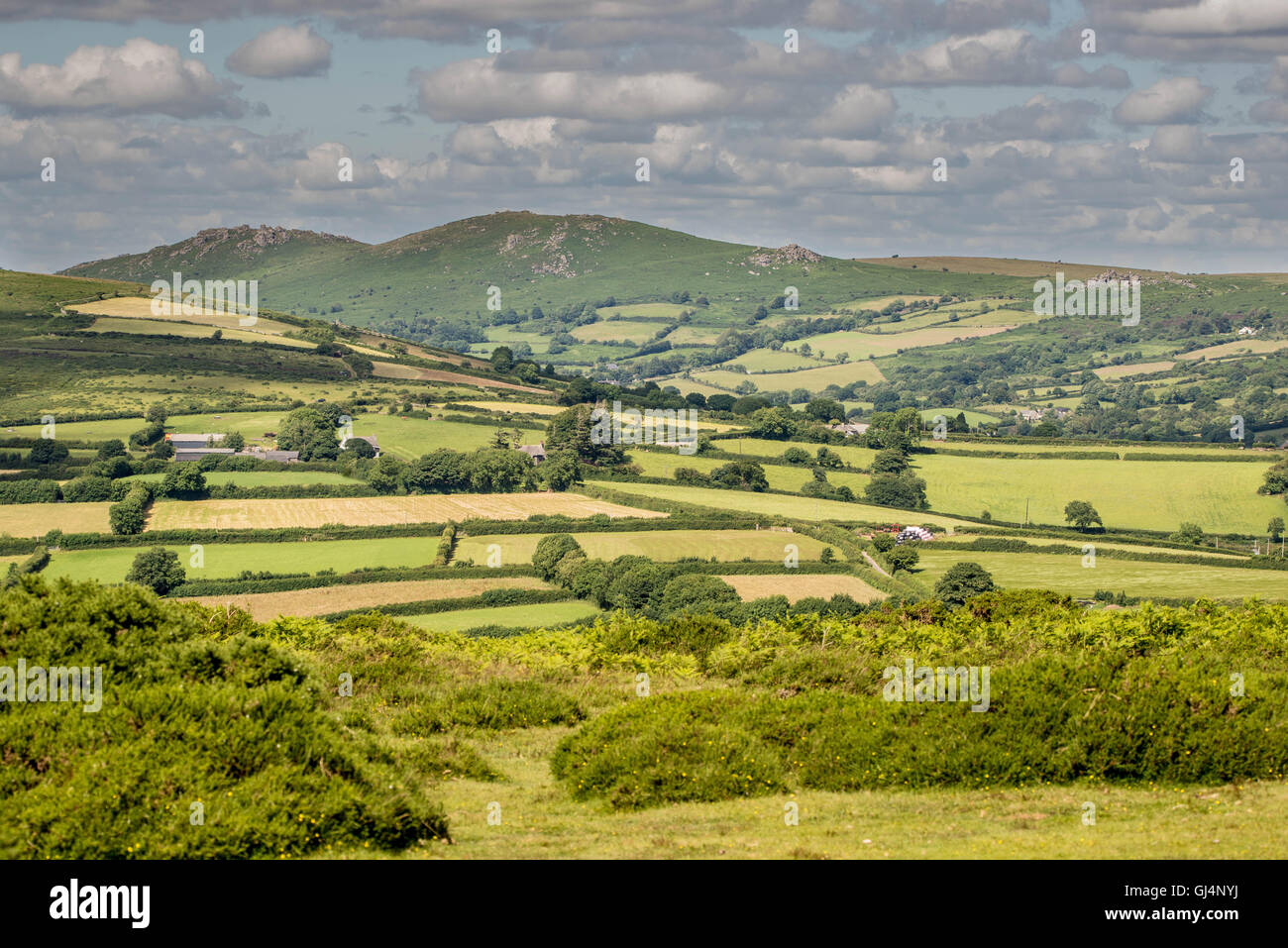 Landscape of Dartmoor Stock Photo - Alamy