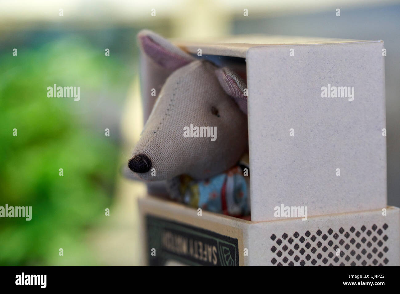 Toy stuffed mounse peeking out of match box Stock Photo