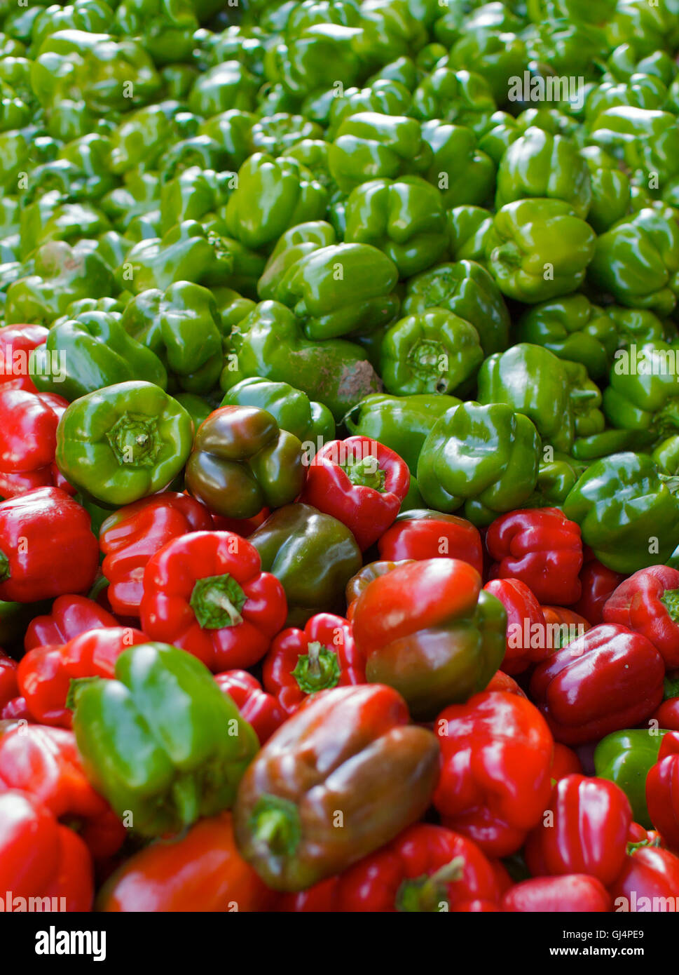 Red and Green Peppers Stock Photo - Alamy