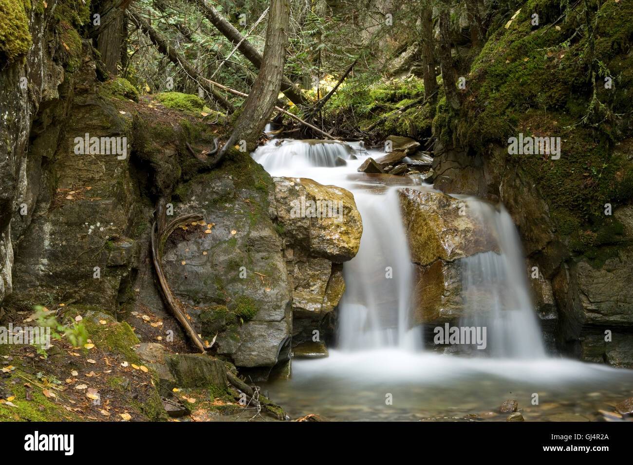 Falling water small waterfall hi-res stock photography and images - Alamy
