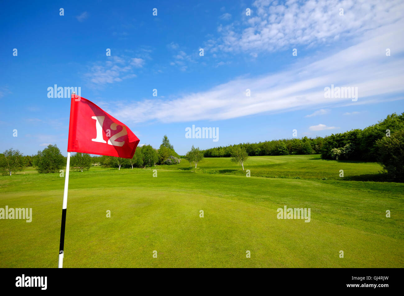 Flag on golf course Stock Photo Alamy