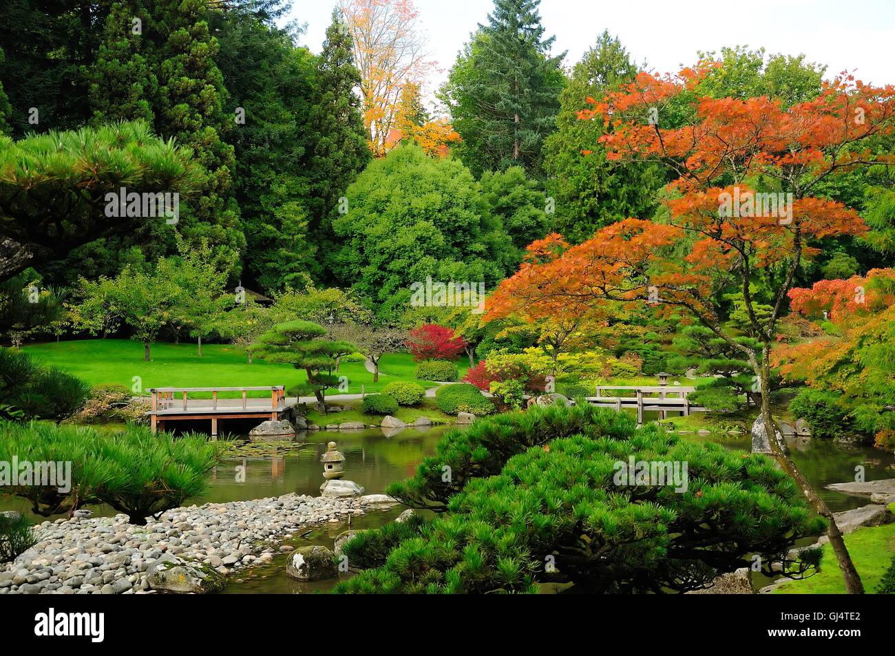 Assorted colors of the Japanese Garden Stock Photo