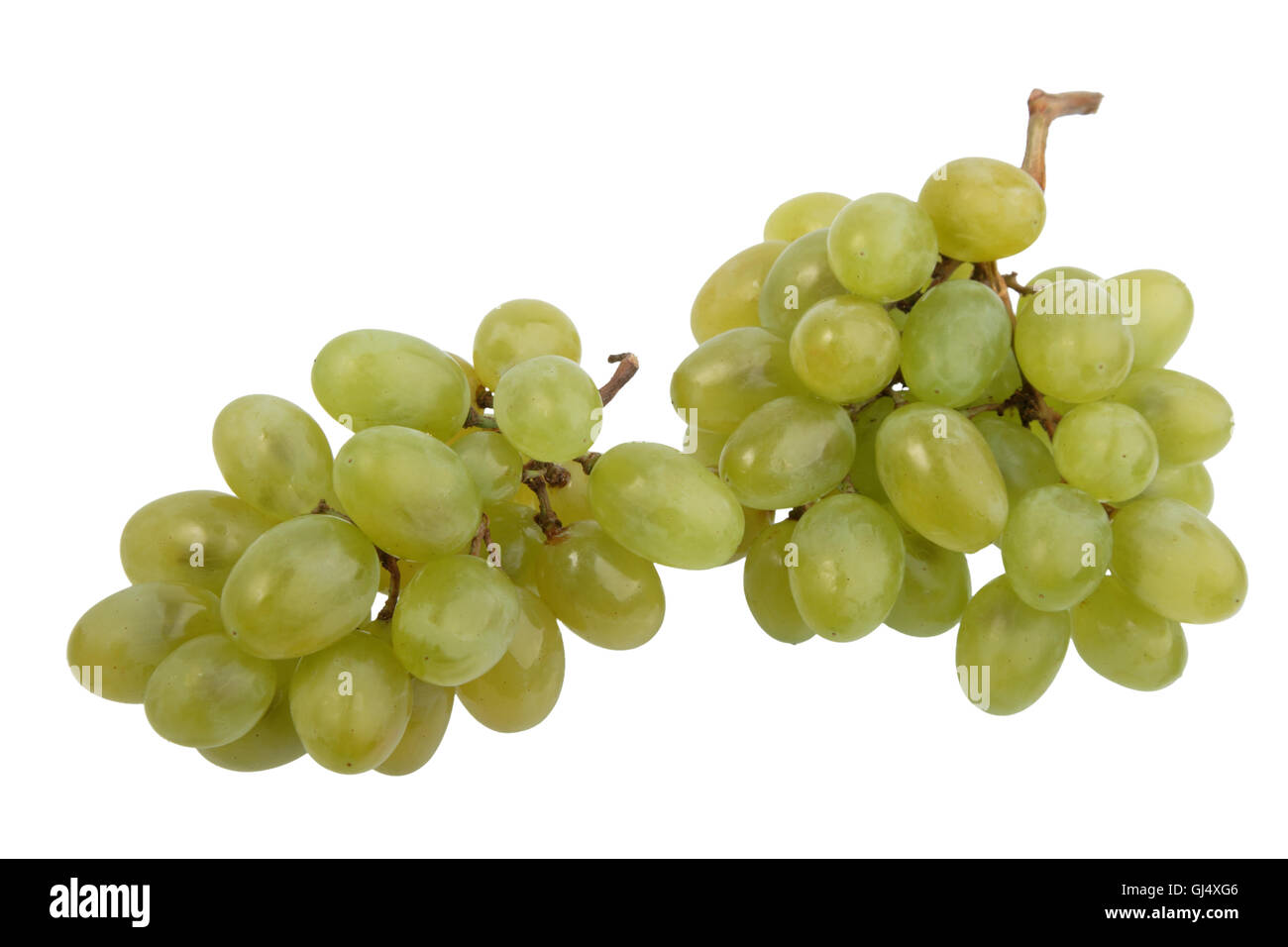 Two bunch of white grape. Stock Photo