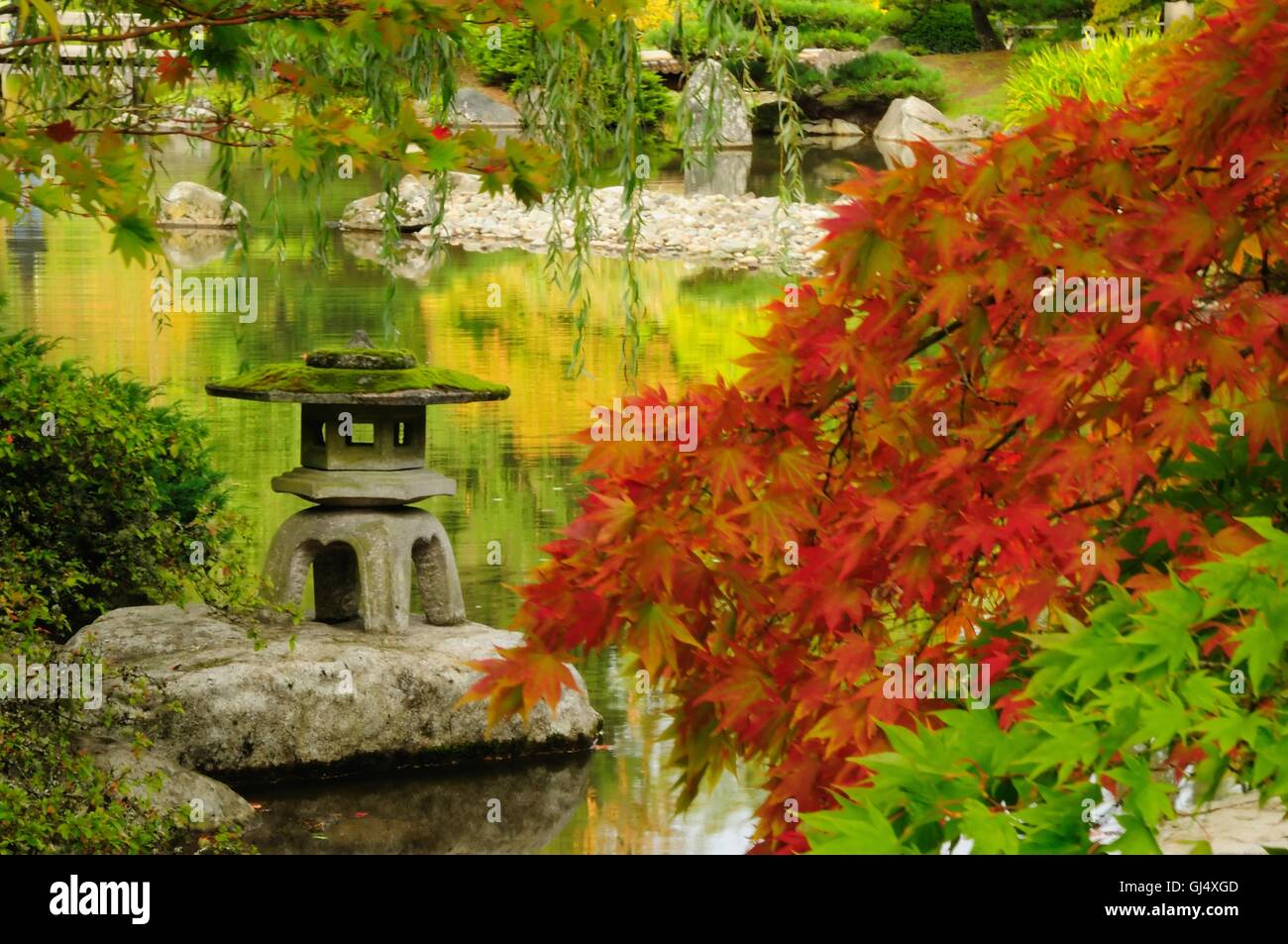 Beautiful Japanese garden in Autumn glory Stock Photo