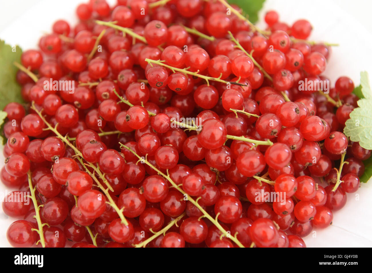 Edible Red Berries Berry Stock Photo