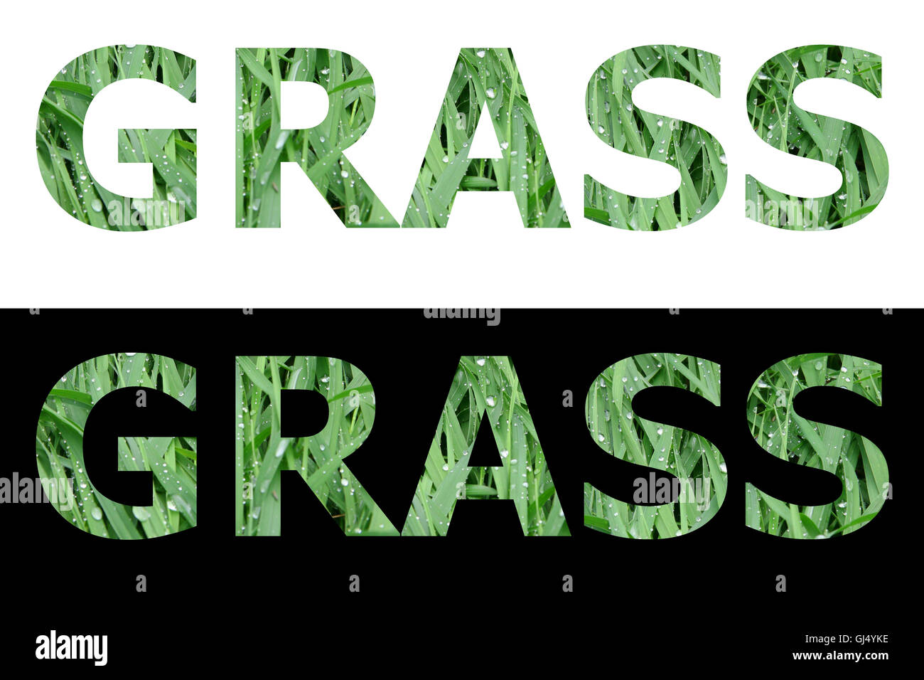 Biology Grass Drop High Resolution Stock Photography and Images Alamy