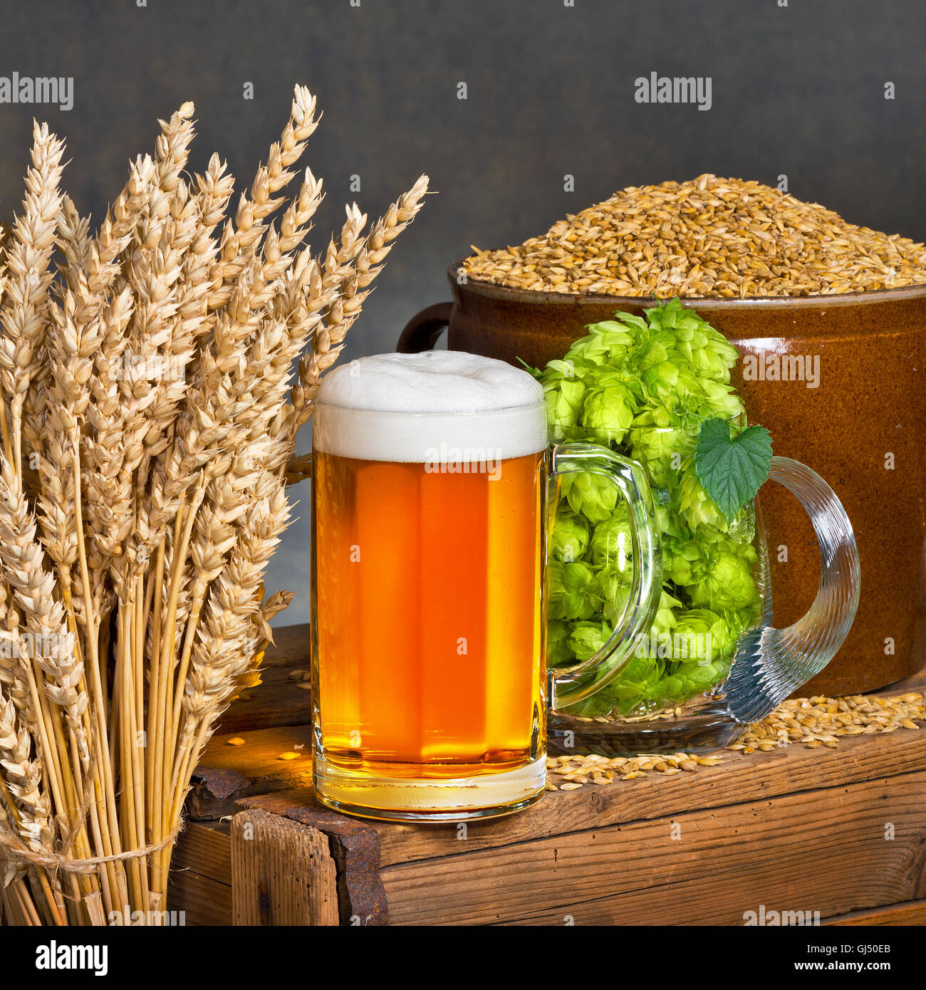 Glass of beer with raw material for beer production Stock Photo
