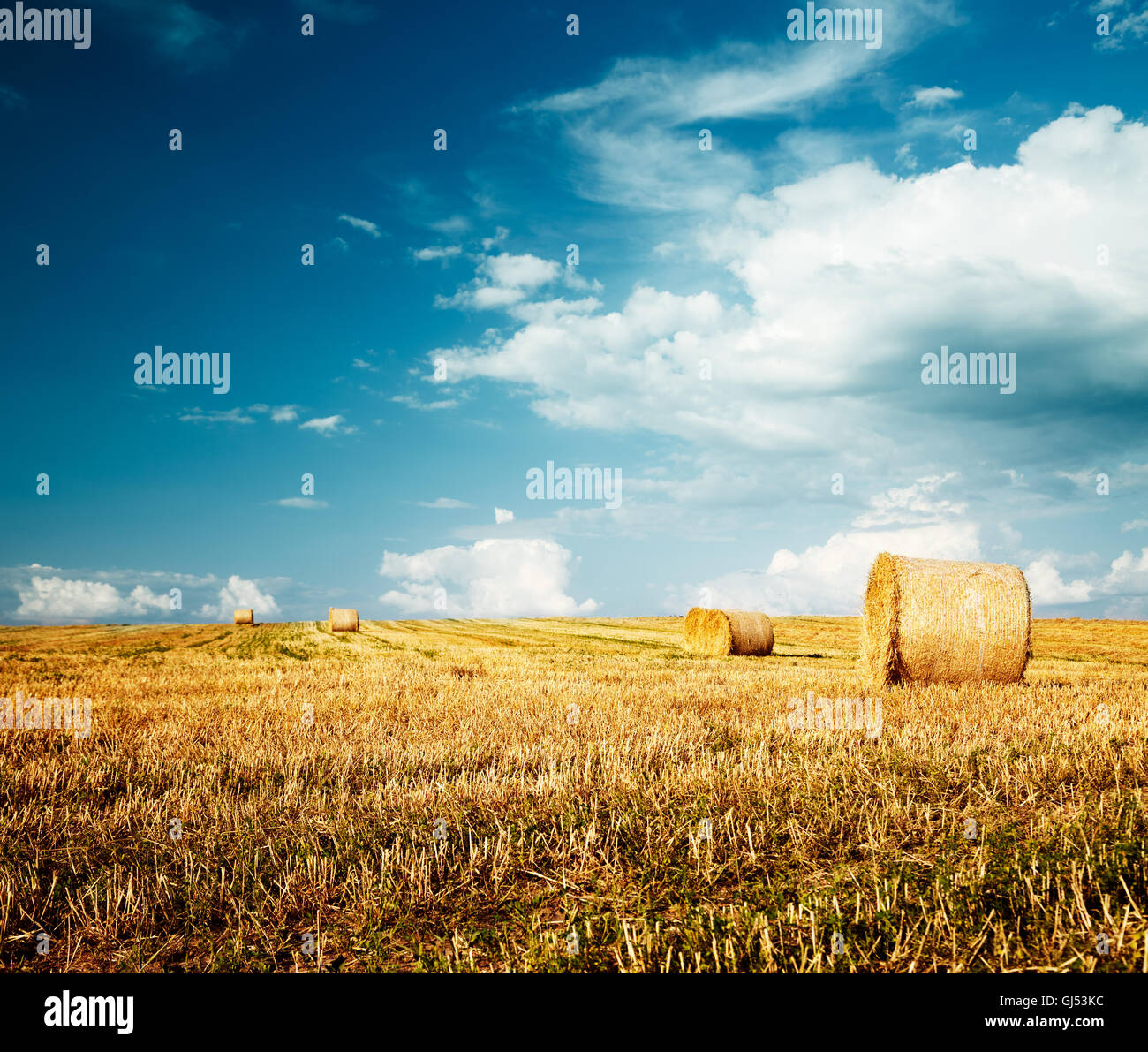 Beautiful Summer Farm Scenery with Haystack Stock Photo - Alamy