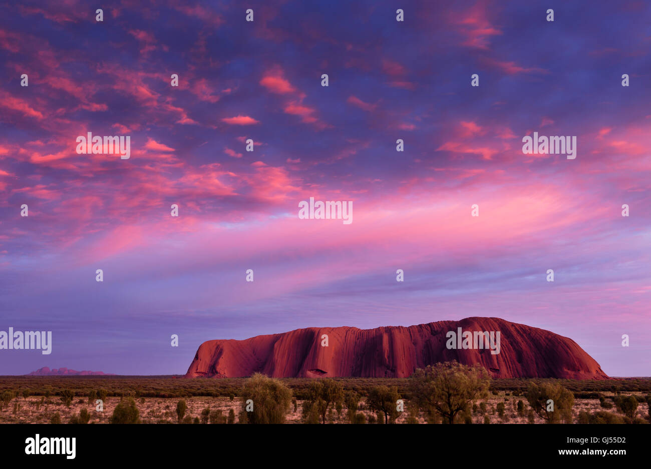 View of Uluru, also called Ayers Rock at sunrise in the Uluru-Kata Tjuta National Park. Stock Photo