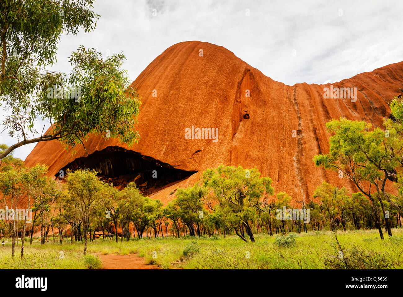 View of Uluru, also called Ayers Rock in the Uluru-Kata Tjuta National Park. Stock Photo