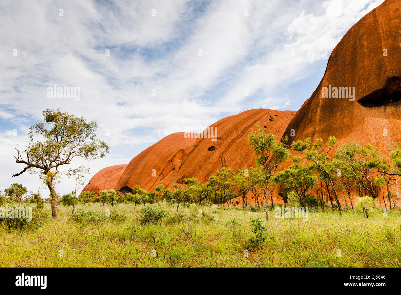 View of Uluru in the Uluru-Kata Tjuta National Park. Stock Photo