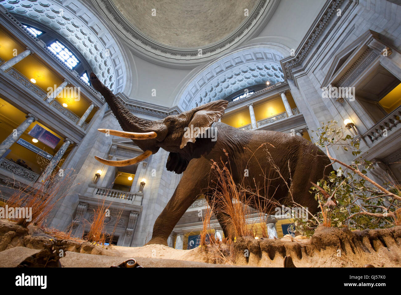 NATIONAL MUSEUM OF NATURAL HISTORY TICKETS WASHINGTON visual data 8