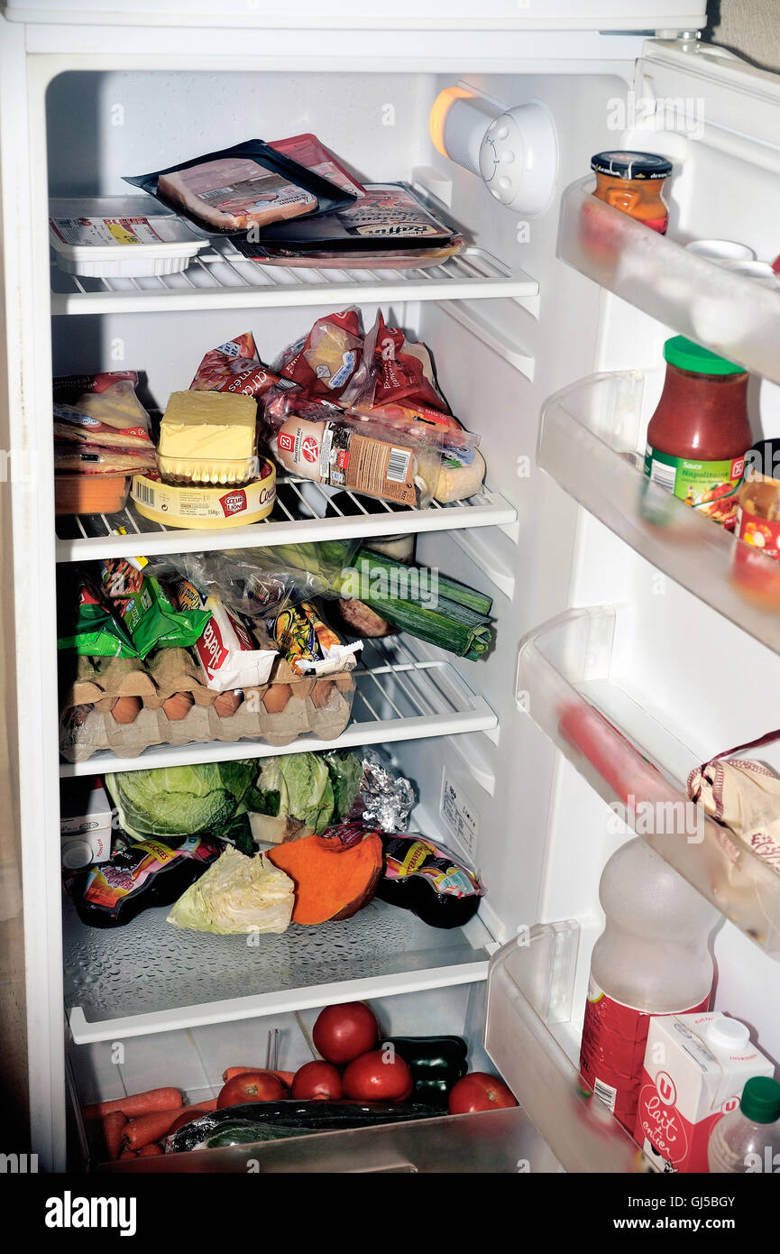 Open refrigerator containing food products each day as eggs, butter