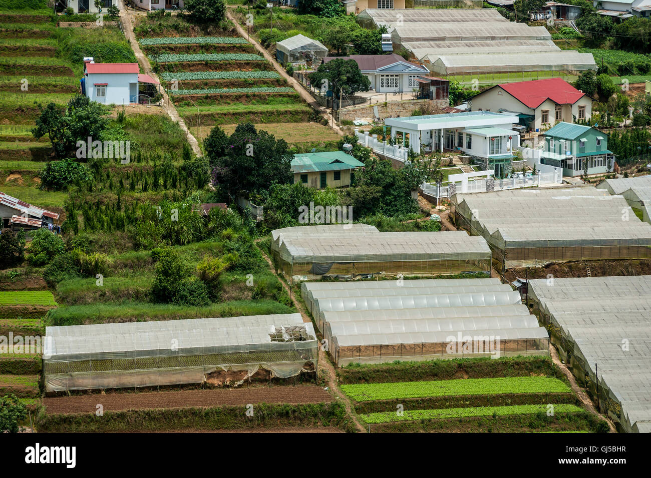 Dalat the city of eternal spring, Vietnam Stock Photo Alamy