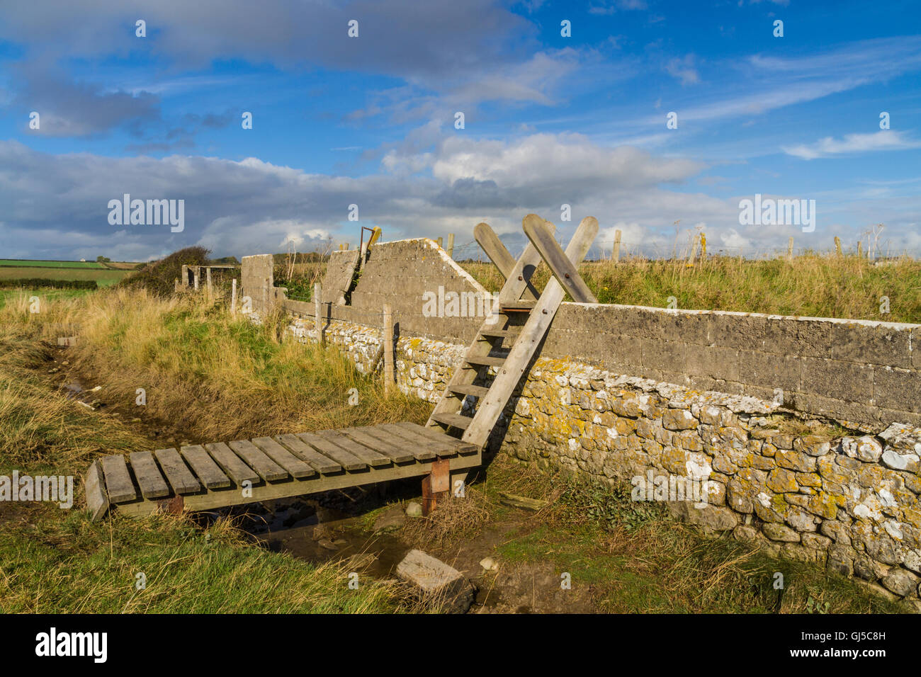 Typical ladder stile, over wall, with bridge over ditch. Aberthaw beach