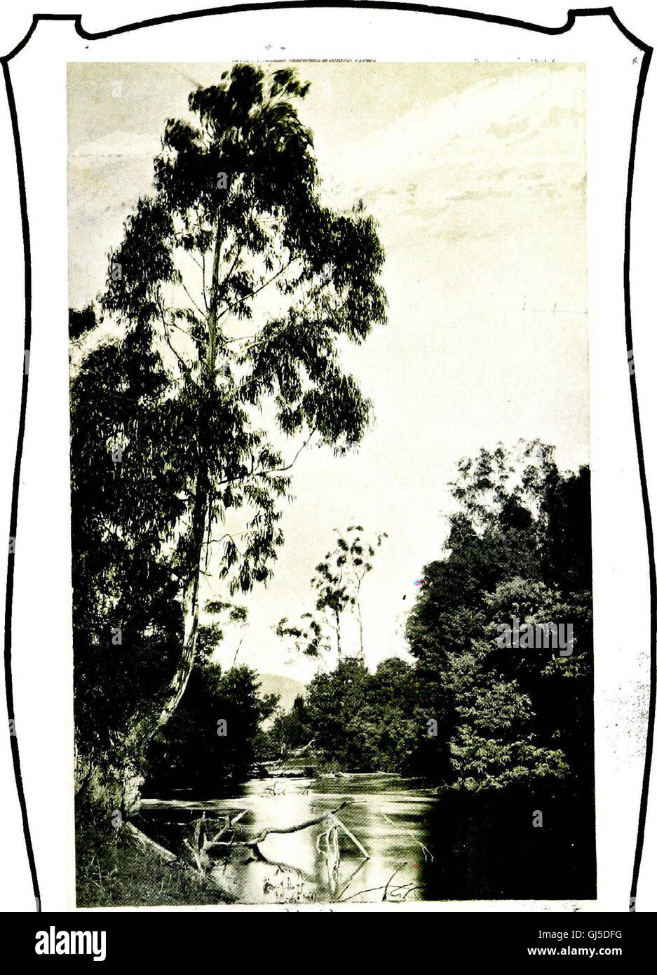 An illustrated guide from 1912 featuring the islands of Australia, New ...