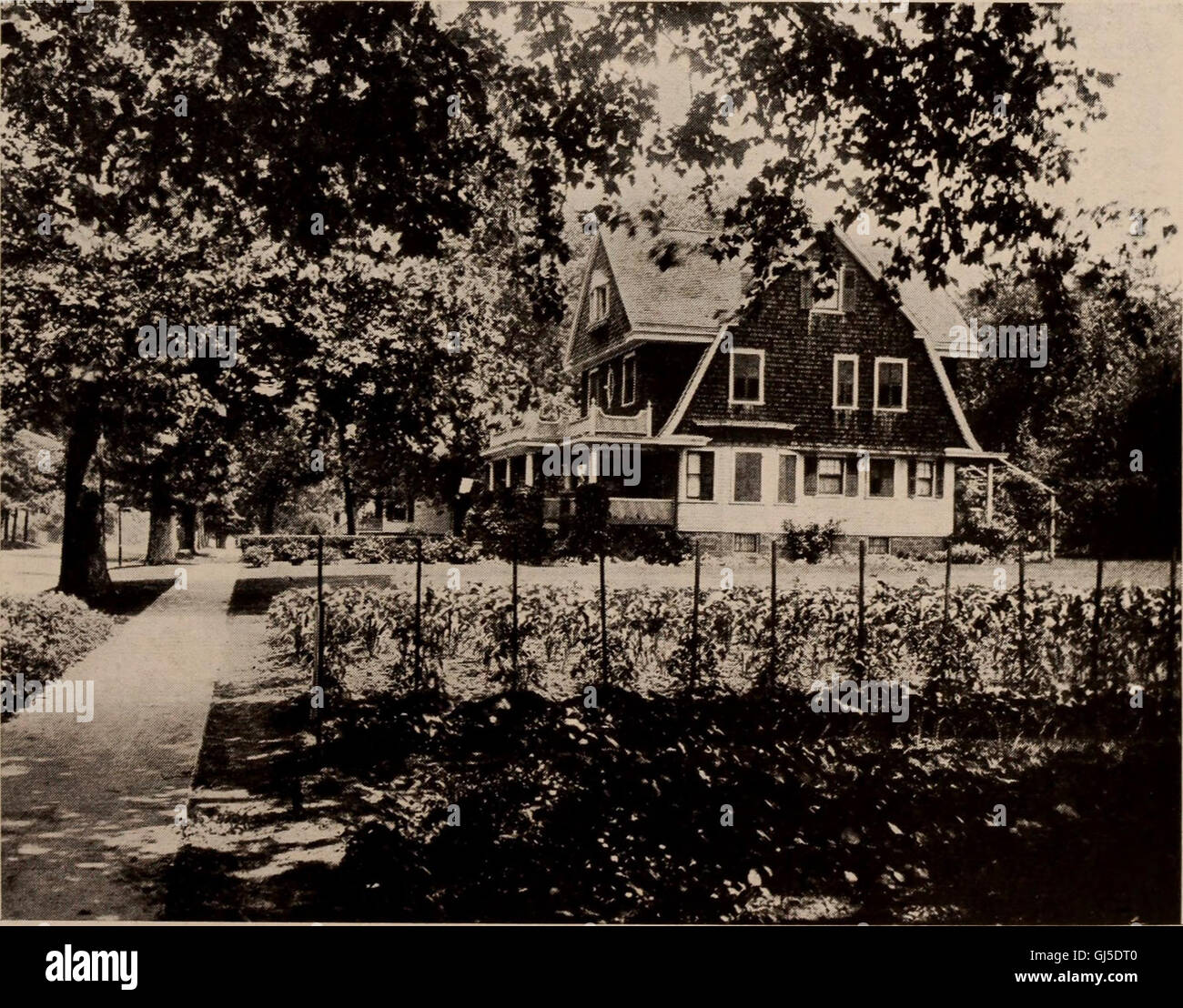 Illustrated Flushing and vicinity College Point, BroadwayFlushing