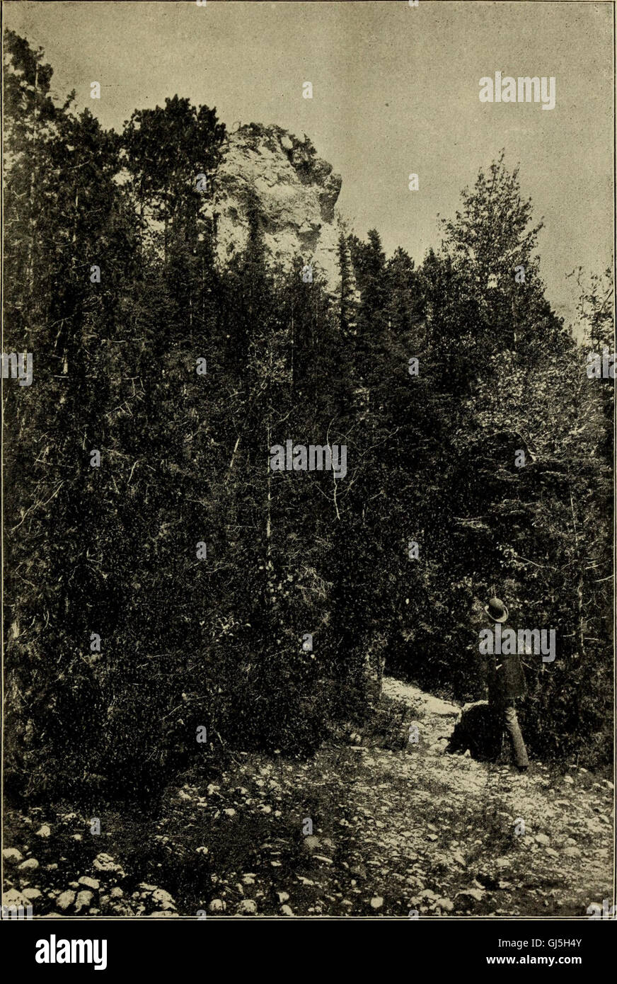 This 1877 publication explores American history, featuring historical ...