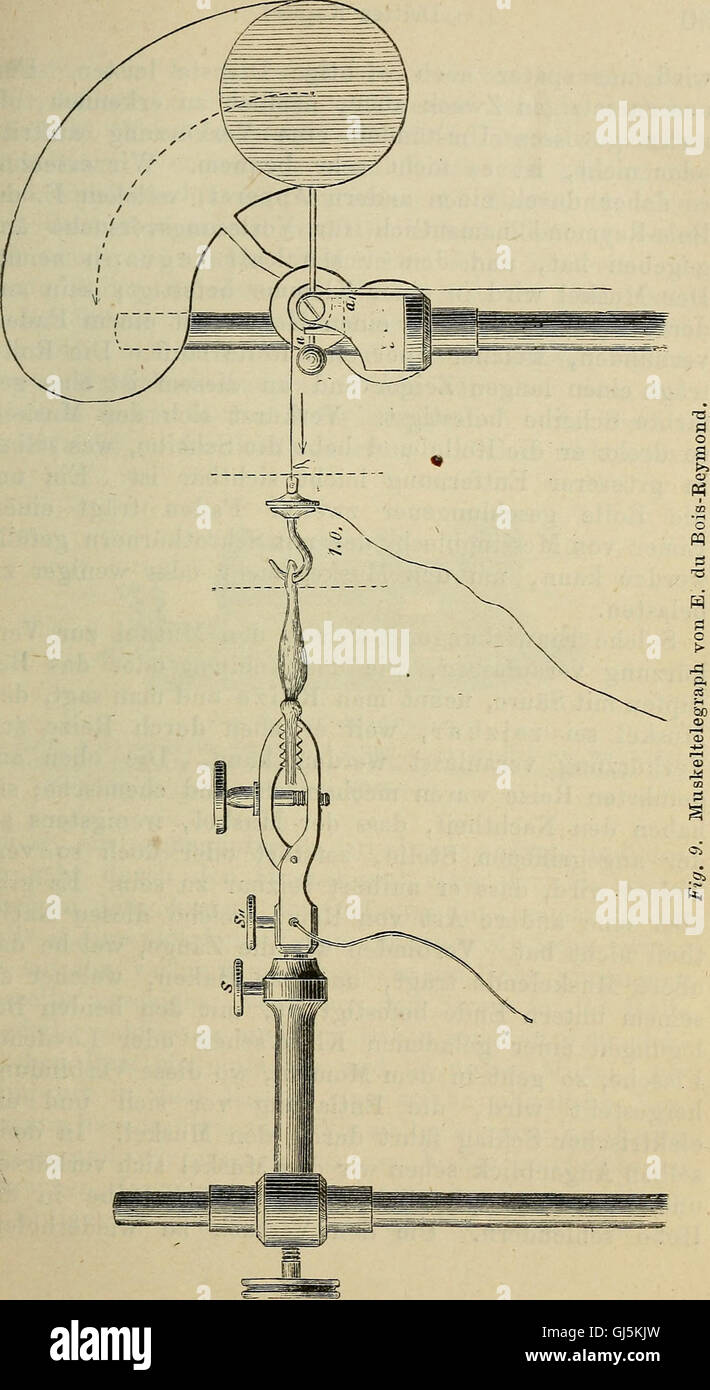 Allgemeine Physiologie der Muskeln und Nerven (1877) Stock Photo