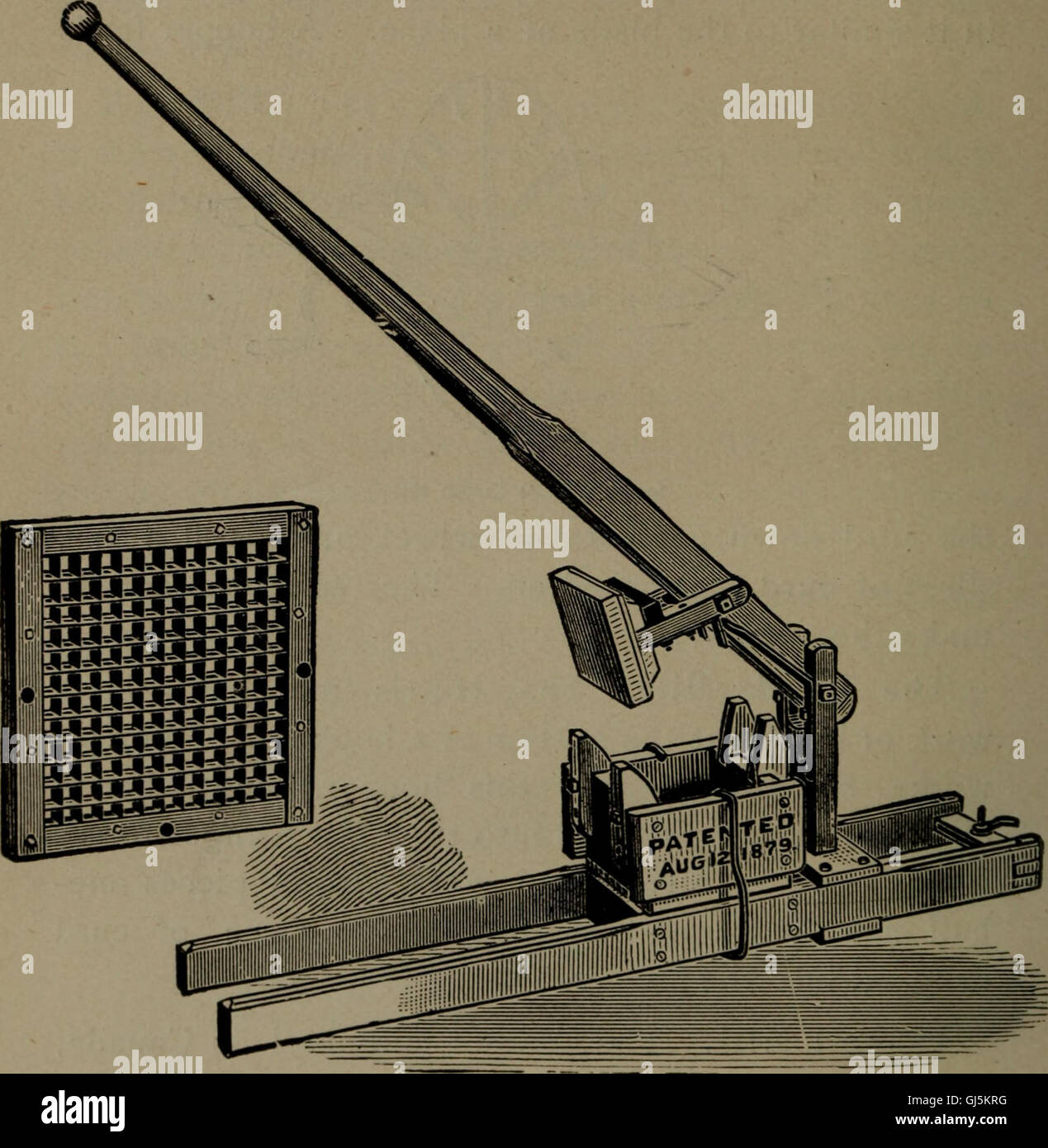 Cheddar cheese making (1893 Stock Photo Alamy