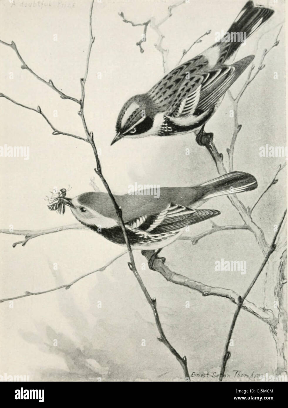 This 1899 guide provides an informative overview of common bird species ...