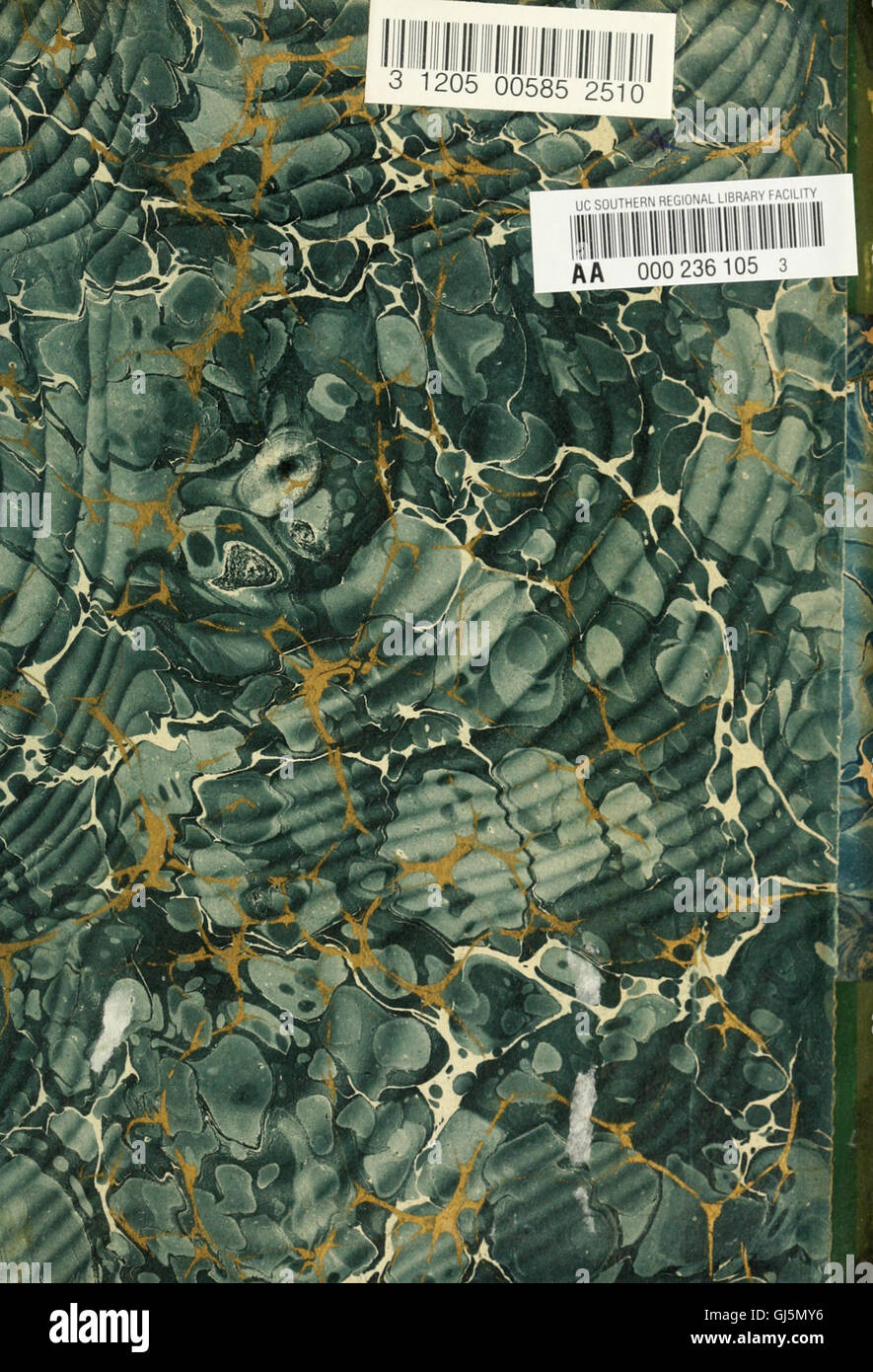 An American fourinhand in Britain (1883 Stock Photo Alamy