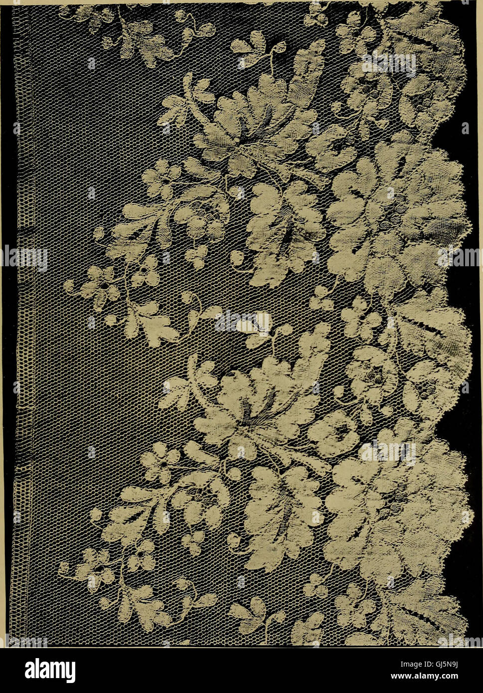 History of lace (1902 Stock Photo Alamy